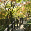宝徳寺-160