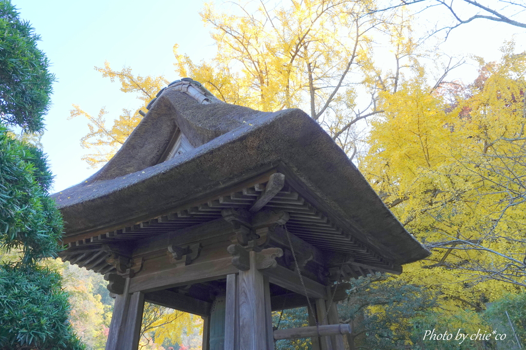 報国寺-007