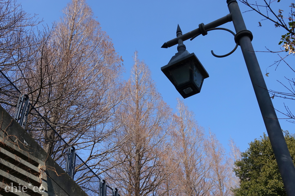 山手イタリア山庭園-132