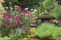鎌倉長谷寺-161