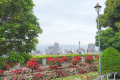 山手イタリア山庭園-110