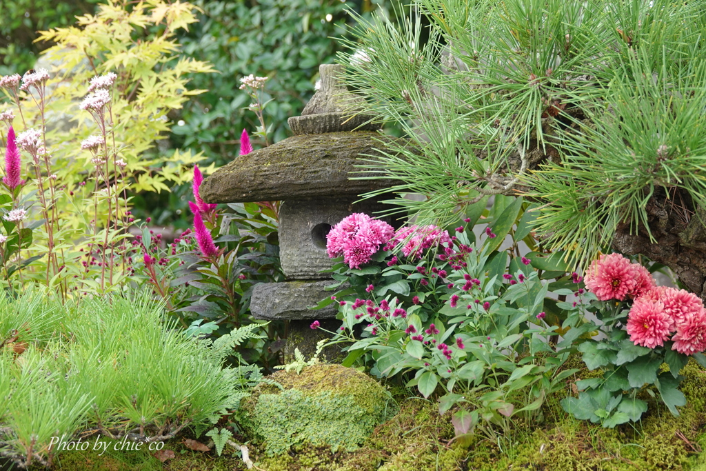 鎌倉長谷寺-155