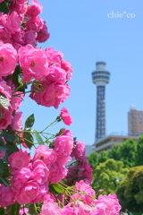 山下公園