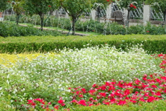 山手イタリア山庭園-159