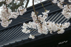 鎌倉-345