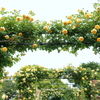 港の見える丘公園-080