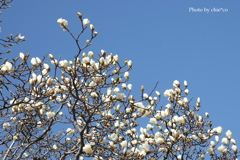 港の見える丘公園-175