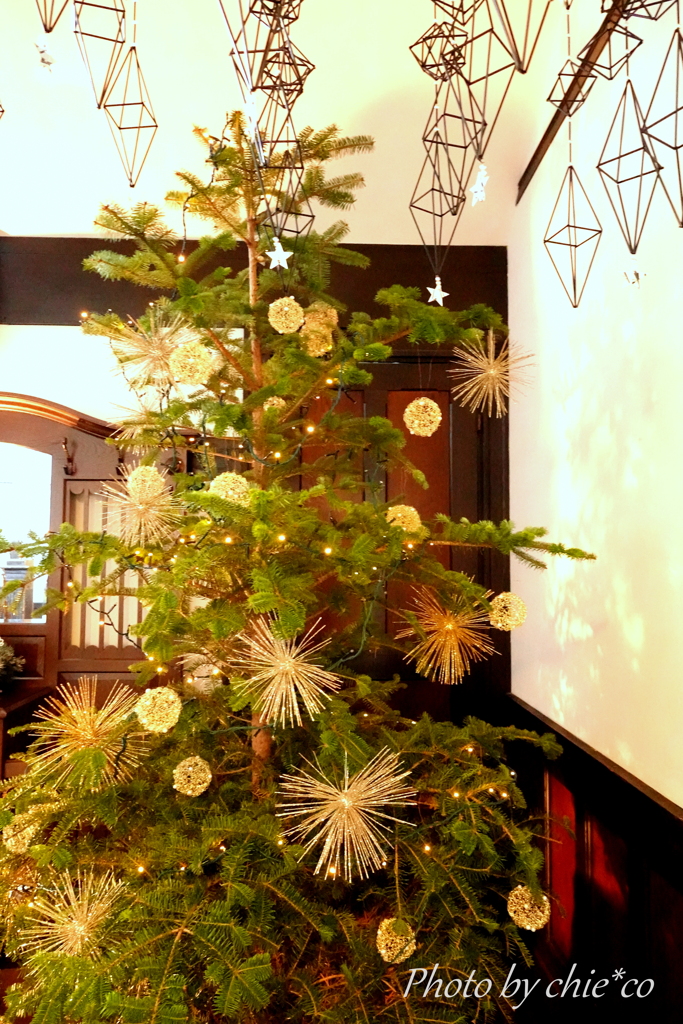山手イタリア山庭園-192