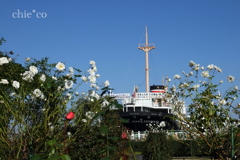 Yokohama-243