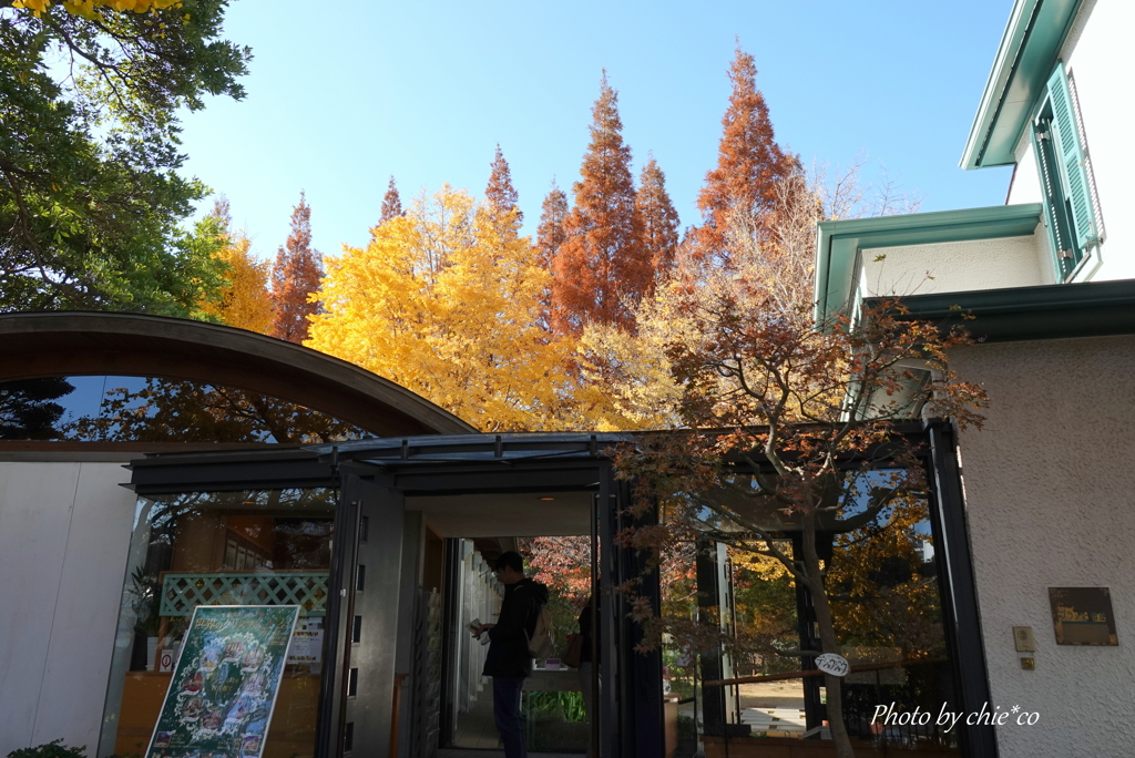 山手イタリア山庭園-179