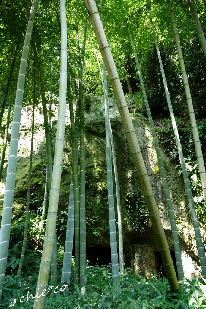 鎌倉-676