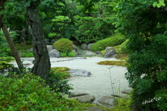 浄妙寺-215