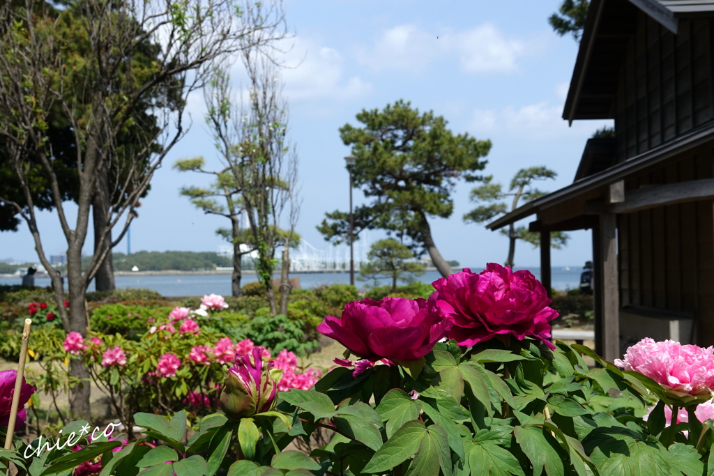 龍華寺 伊藤博文別邸-200