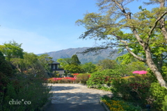 箱根-434