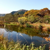 箱根湿生花園-272