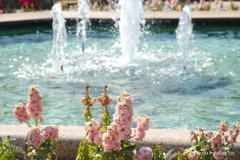 港の見える丘公園-172