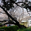 山手公園-033