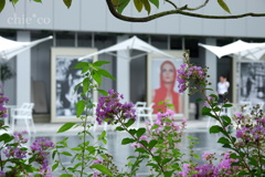 GINZA SIX-099