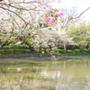 鎌倉-181