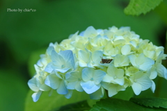 鎌倉-254