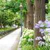 山下公園-097