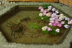 鎌倉-234