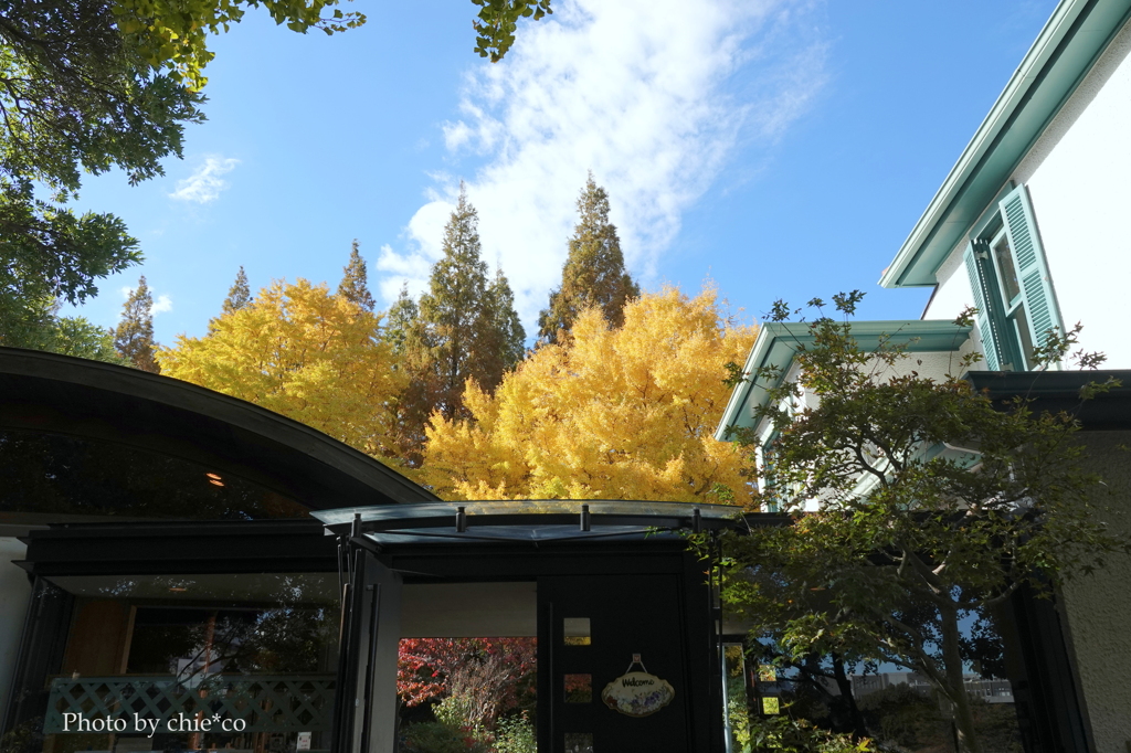 山手イタリア山庭園-160