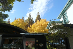 山手イタリア山庭園-160