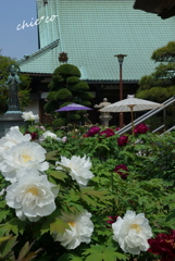 龍華寺 伊藤博文別邸-147