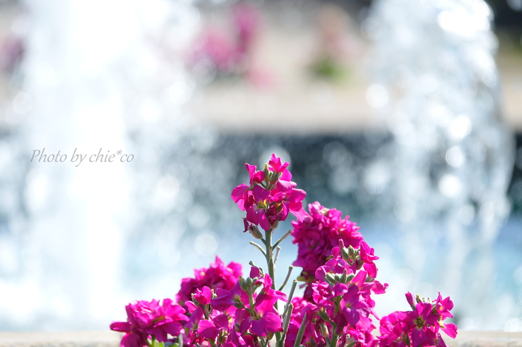 港の見える丘公園・アメリカ山公園-157