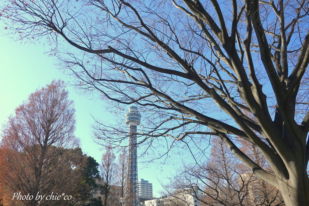 山下公園-058