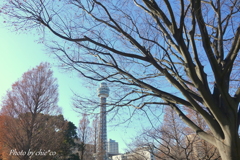 山下公園-058