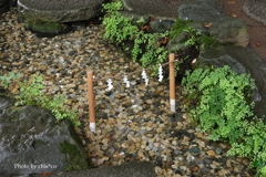 川越氷川神社-001