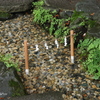 川越氷川神社-001