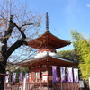 川越-067