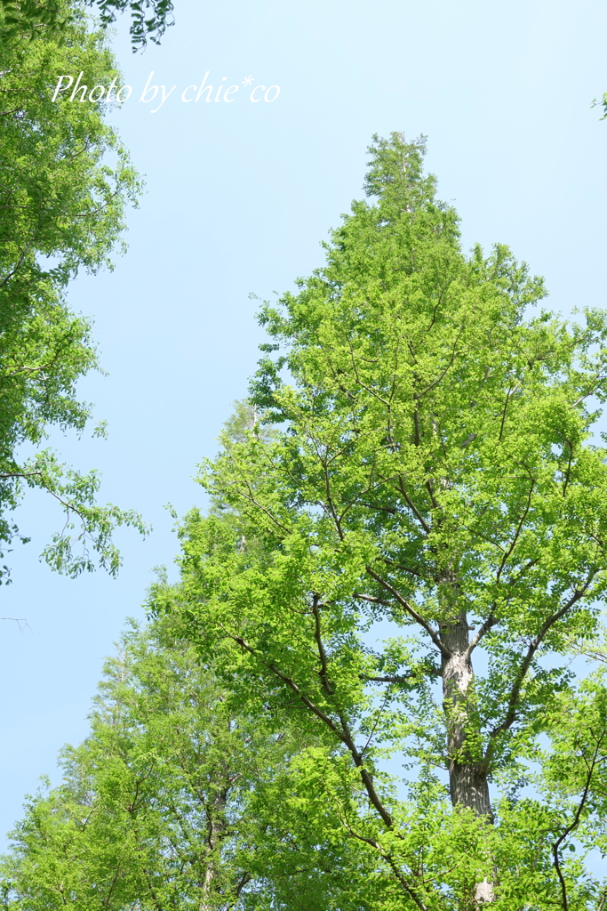 石川町～イタリア山庭園-226