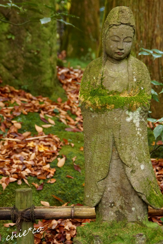北鎌倉-348