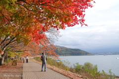 紅葉の河口湖畔-014
