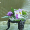 横浜山手-236