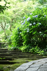 鎌倉-115