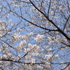 山手公園-037