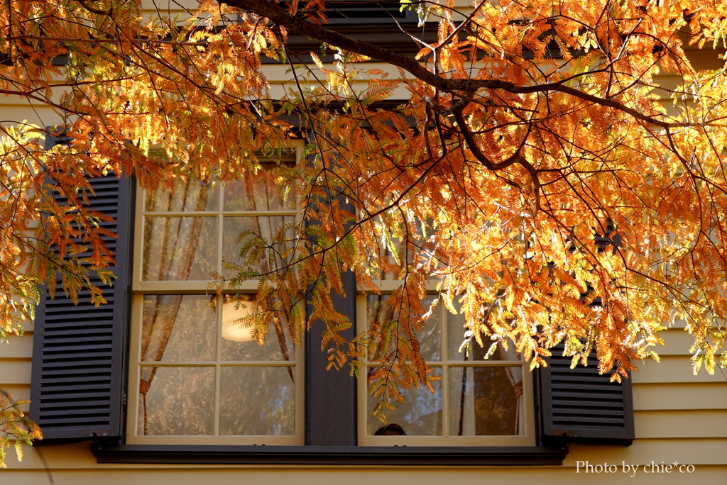 山手イタリア山庭園-174