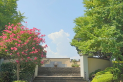 横浜山手-193