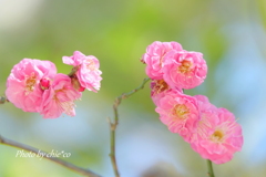 鎌倉-026