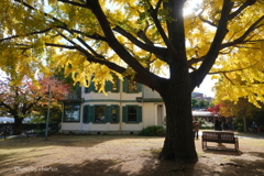 山手イタリア山庭園-153