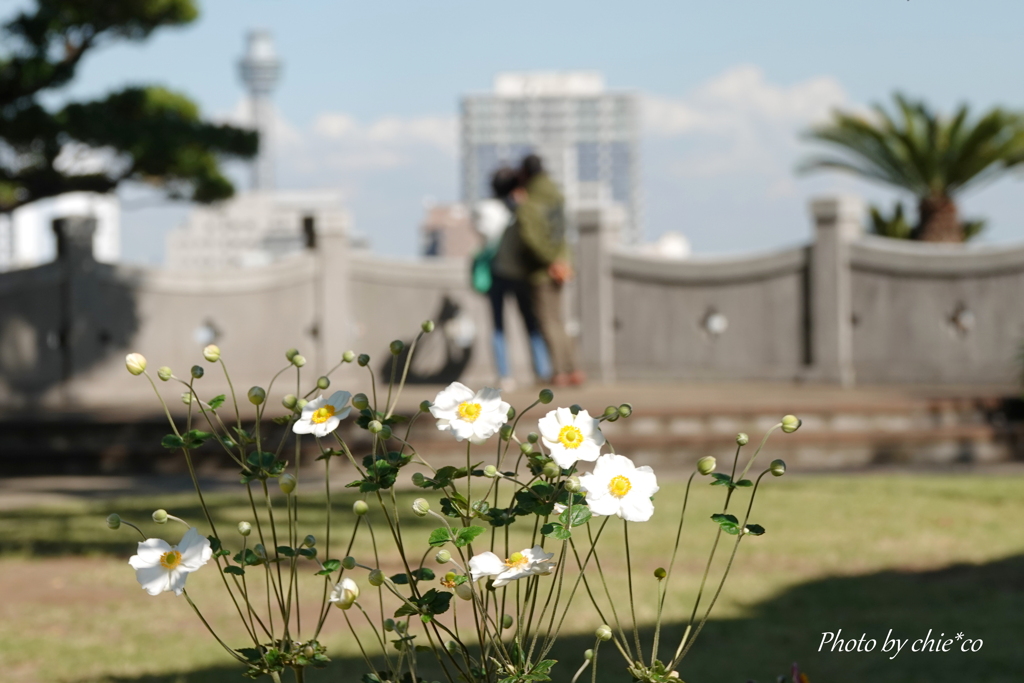 イタリア山庭園-367
