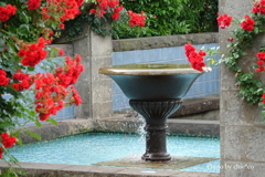 山手イタリア山庭園-103