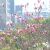 みなとみらい-102