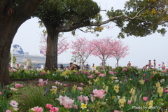 山下公園-174