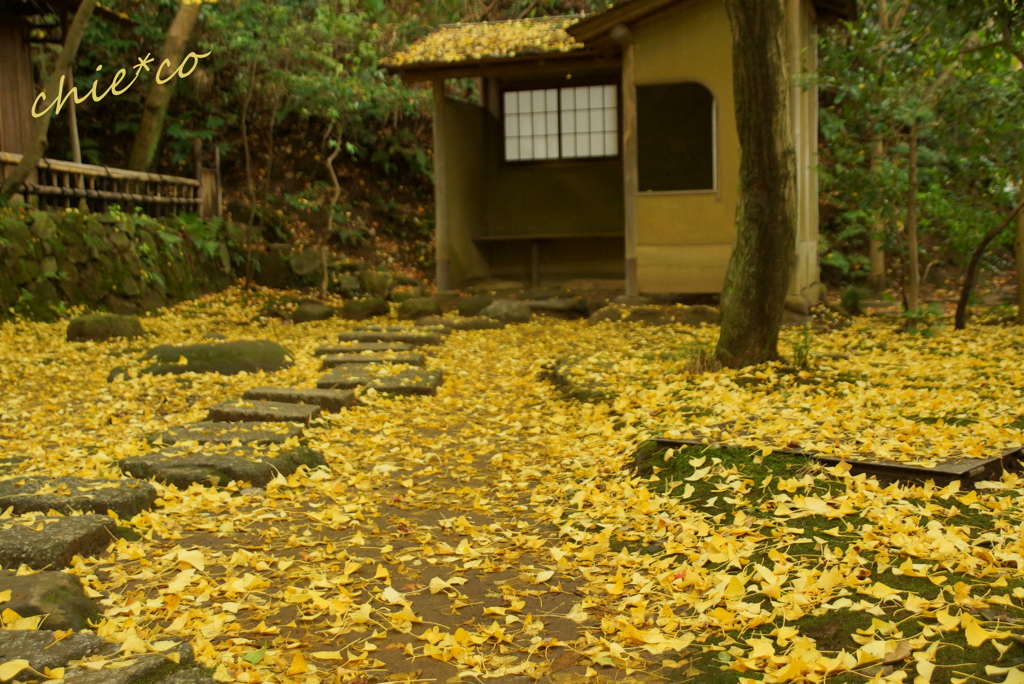 三渓園-311